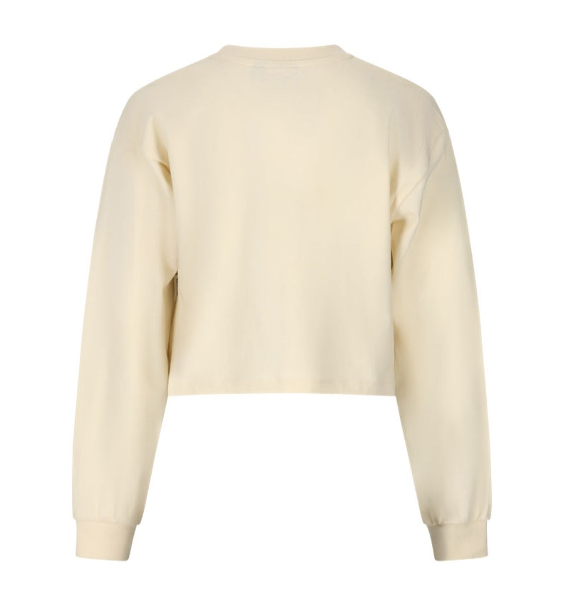 Shirt cropped